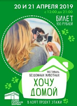 Фестиваль бездомных животных в ЭТАЖИ