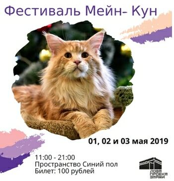 Фестиваль МЕЙН-КУН в ЭТАЖАХ