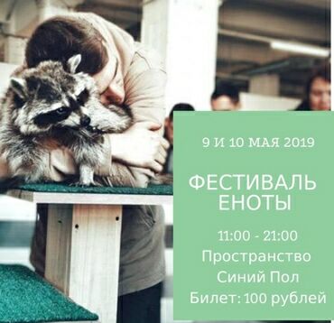 Фестиваль Енотов