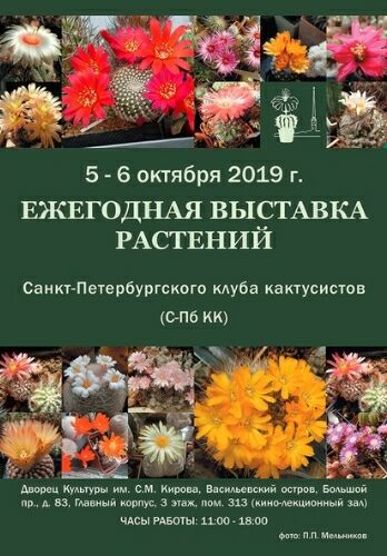 Выставка Клуба кактусистов»
