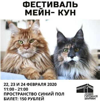 Фестиваль Мейн-кун в ЭТАЖИ