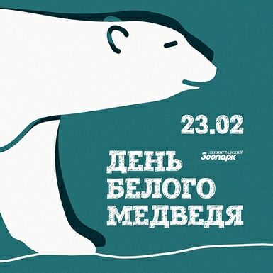 День белого медведя в зоопарке