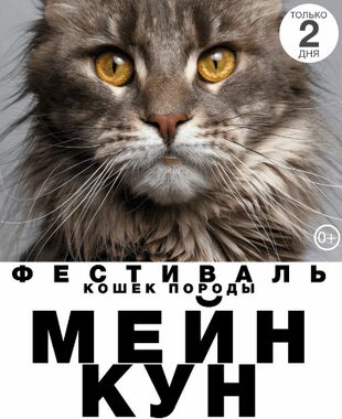 Фестиваль МЕЙН-КУН в ЭТАЖАХ