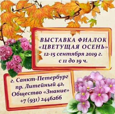 Выставка фиалок «Цветущая осень» в СПб Обществе «Знание»