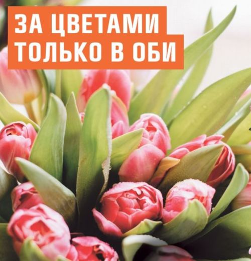 Букеты тюльпанов в ОБИ к 8 Марта