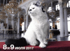 Куда пойти в СПб